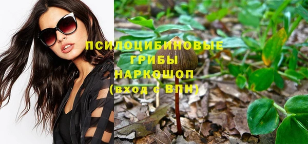 крисы Волоколамск
