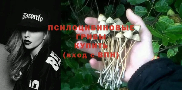 гидропоника Володарск