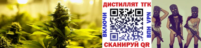 Купить закладки  Мещовск  ТГК жижа 