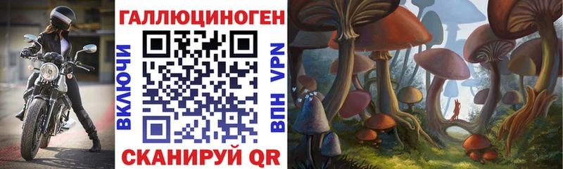 Купить Мещовск Галлюциногенные грибы GOLDEN TEACHER